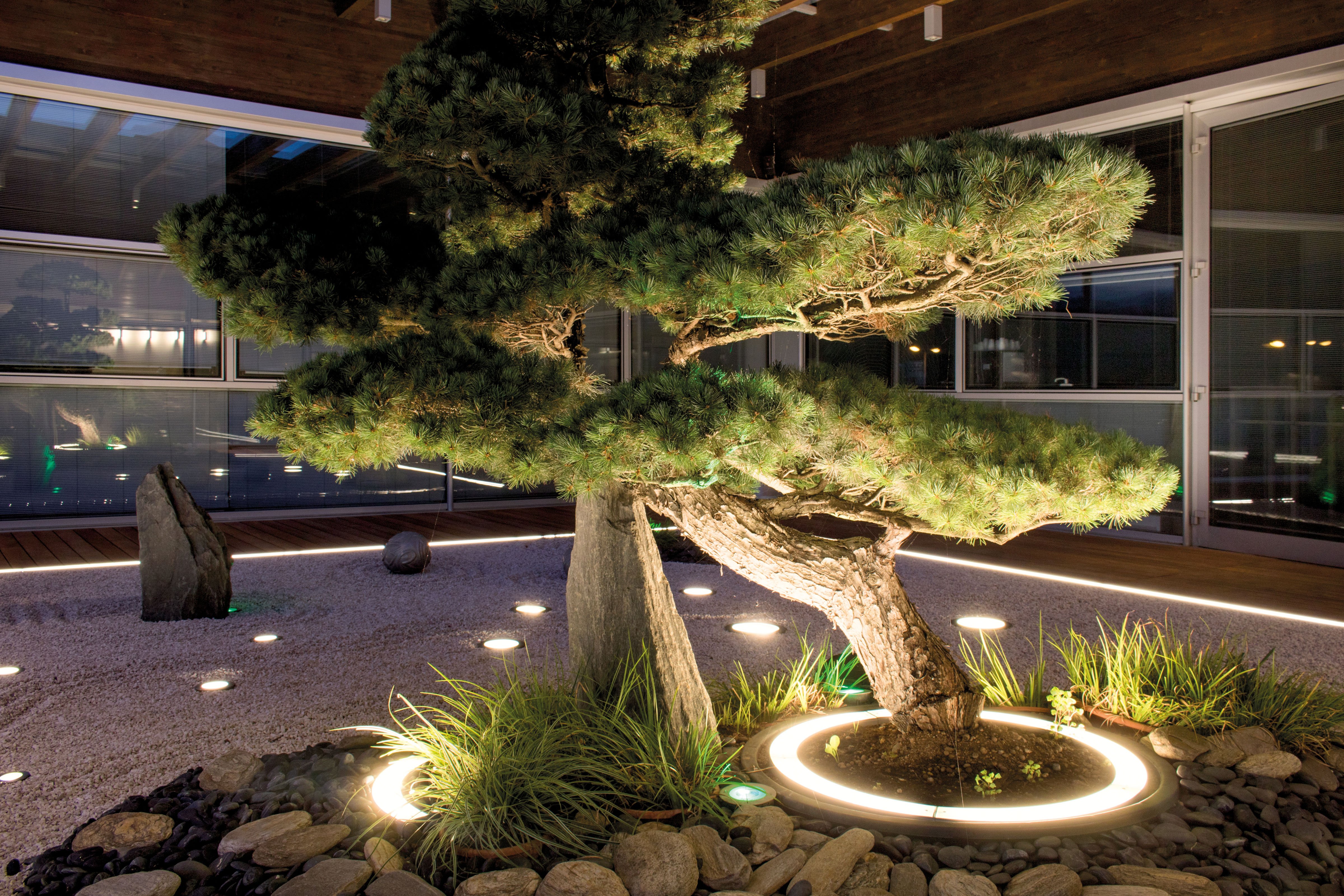 How to illuminate a ZEN garden